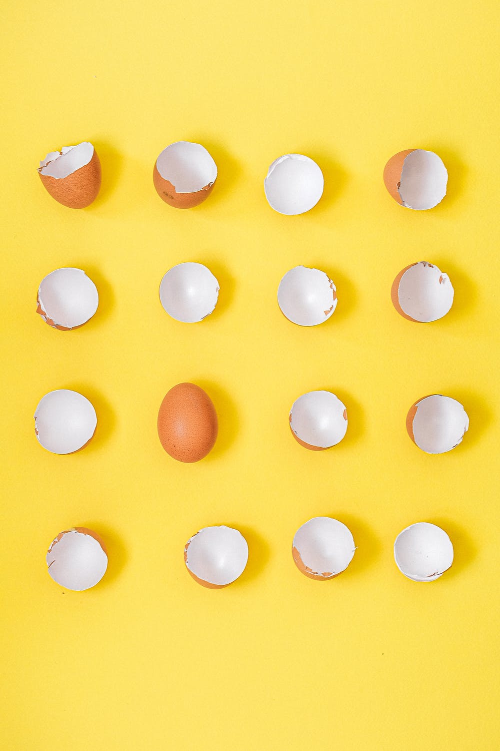 https://carrocel.afarit.pt/wp-content/uploads/2021/01/pexels-photo-4045551.jpeg